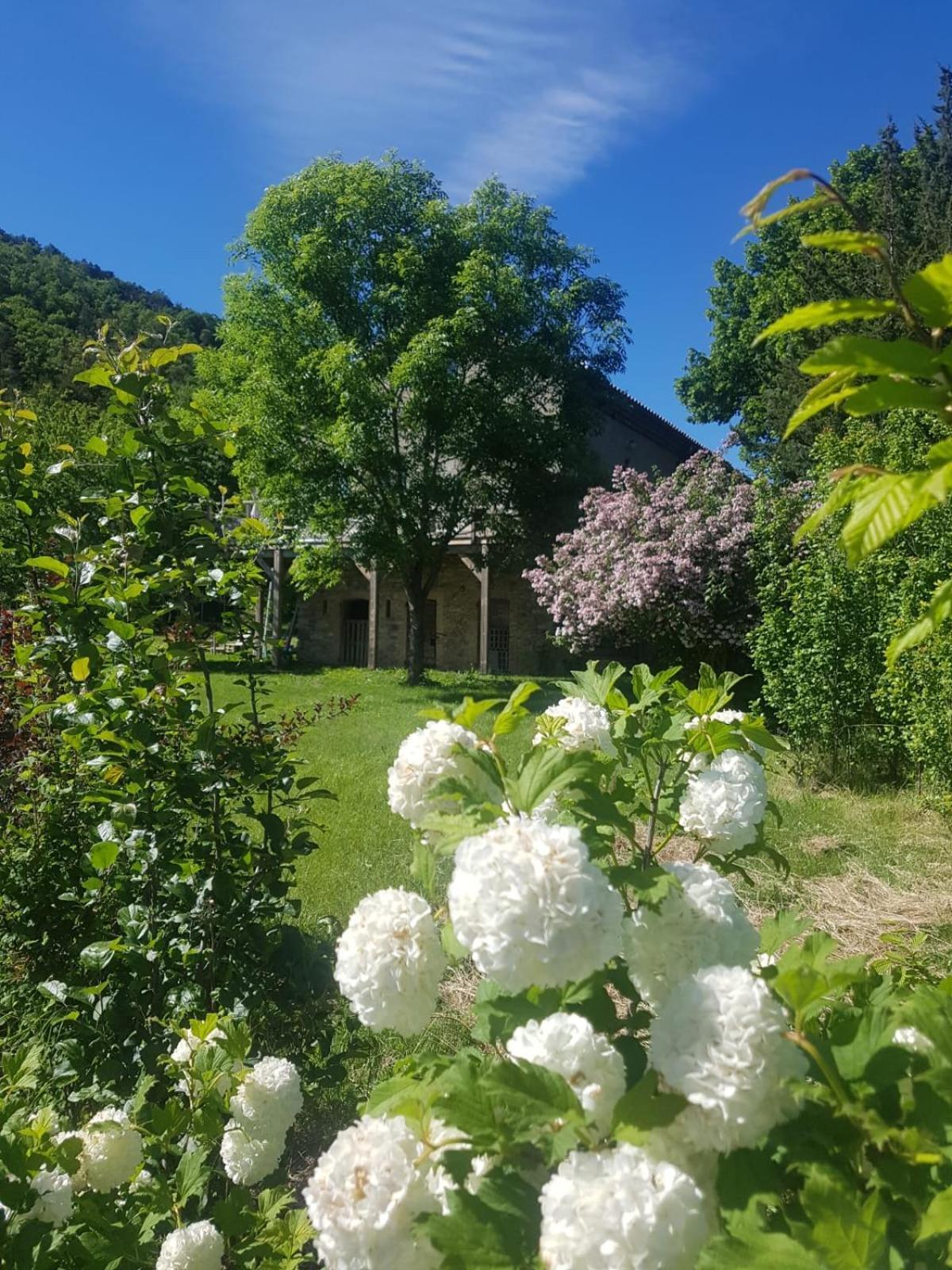 Les Gites Du Saro Chabestan Екстериор снимка